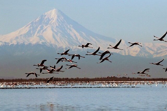 احیای مجدد خلیج گرگان در یک ماه اخیر